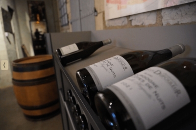 Nuits-Saint-Georges: Tasting the Fine Wines of Burgundy