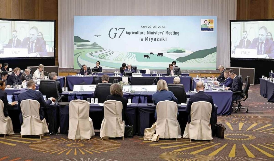 Tokyo: G7 agriculture ministers call for extension of Ukrainian grain deal