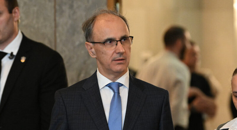 Zadatak države je da garantuje mir i bezbednost tokom izbornog procesa