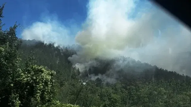 Buknuo novi požar u Srbiji