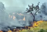 I dalje besi požar kod Lukova kraj Vranja
