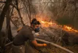Evropski lideri stizali na požarišta za 1 do 5 dana, Deliblatska peščara gorela nedeljama pre Vučićeve posete