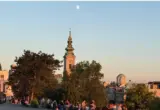 Jsmina Dragutinović: Za budalu zakon nije prepreka