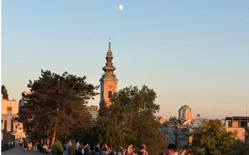 Jsmina Dragutinović: Za budalu zakon nije prepreka