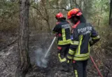 Ko je izostavljen iz zahvalnice JP “Vojvodinašuma”? Gasili požare rame uz rame sa Srbima, ali njih nema na spisku