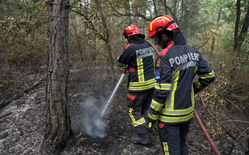 Ko je izostavljen iz zahvalnice JP “Vojvodinašuma”? Gasili požare rame uz rame sa Srbima, ali njih nema na spisku