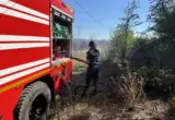 Lokalizovan požar kod Kladova, izgorelo više od 1.000 hektara