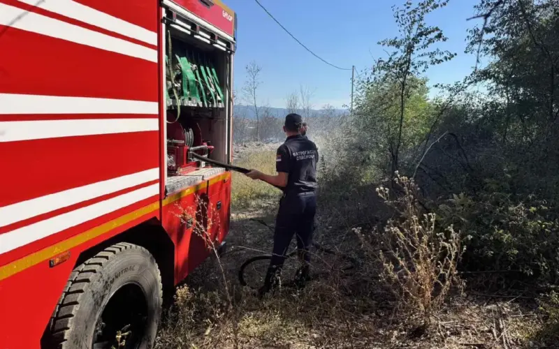 Lokalizovan požar kod Kladova, izgorelo više od 1.000 hektara