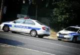 Muškarac uhapšen kod Mladenovca jer je ubio psa