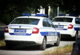 Uhapšena dvojica nasilnika iz okoline Doljevca: Pretukli čoveka na benzinskoj pumpi