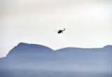 Pao helikopter u Keniji, sedmoro mrtvih, među njima pet građana SAD i glavni ekvadorski obaveštajac
