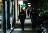 Policija uhapsila muškarca koji je napastvovao ženu na Banovom brdu