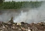 Ponovo gori deponija u Kuli: Nema odgovora na pitanja o uzroku požara, kvalitetu vazduha i merama