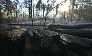 Stabilnija situacija sa požarima, ali jak vetar za vikend mogao bi da rasplamsa vatru u Deliblatskoj peščari