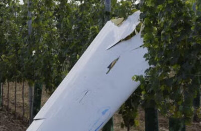 Tragedija u Austriji: Lekar i IT preduzetnik stradali u sudaru aviona