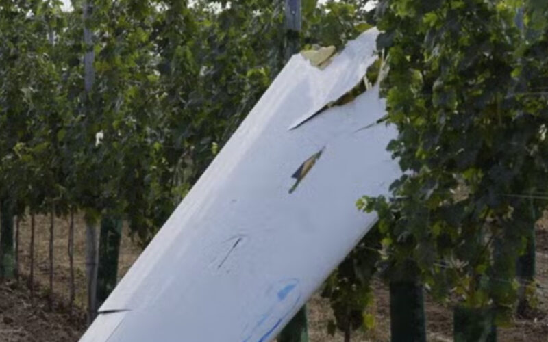 Tragedija u Austriji: Lekar i IT preduzetnik stradali u sudaru aviona