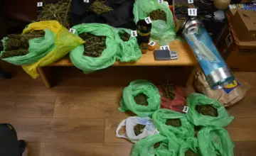 Uhapšen muškarac u Boru: U zasadu pronađeno 11,8 kilograma kanabisa