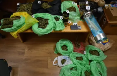 Uhapšen muškarac u Boru: U zasadu pronađeno 11,8 kilograma kanabisa