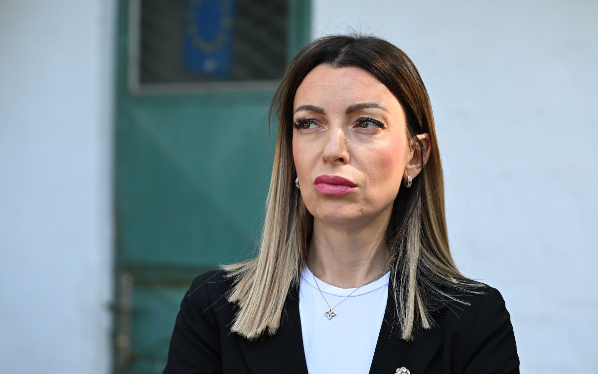 Mesarović: Jedina politika blokadera podele, nasilje i blokade