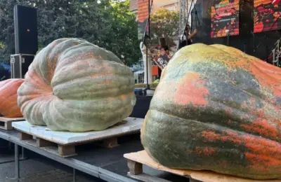 Bundeva od preko pola tone osvojila glavnu nagradu na manifestaciji „Dani ludaje“
