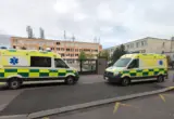 Deci poslužili jaja sa isteklim rokom: Masovno trovanje u češkoj školi