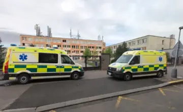 Deci poslužili jaja sa isteklim rokom: Masovno trovanje u češkoj školi