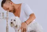 Jedan od četiri psa dobije kancer: Šta u njihovom životu ne vidimo?