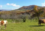 Novi biser Golije: Naučni centar spaja obrazovanje i turizam