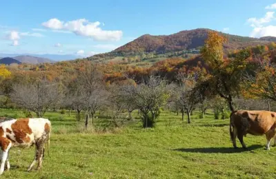 Novi biser Golije: Naučni centar spaja obrazovanje i turizam