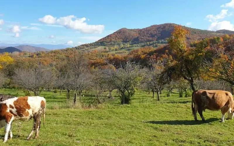 Novi biser Golije: Naučni centar spaja obrazovanje i turizam