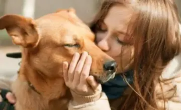Pas i trauma detinjstva: Kada ljubav boli u tišini