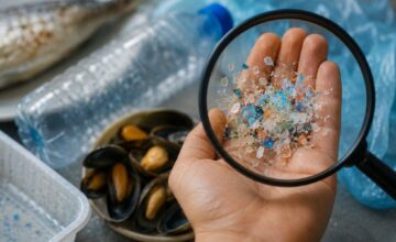 Plastika pronađena u ljudskom telu: Šta nauka zaista zna