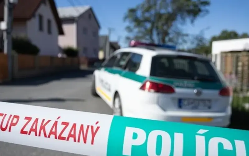 Tragedija u slovačkoj školi: Osnovac nožem ubio nastavnicu i teško ranio učenika
