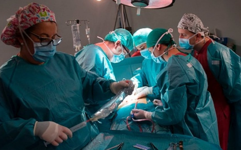 U Austriji su skoro dve trećine živih davalaca organa žene
