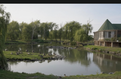 U selu kod Sombora nalazi se Zoo-vrt „Miki“: Flamingosi, medvedi i više od 100 vrsta životinja