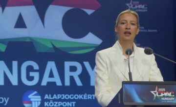 Vajdel traži povratak ruskog gasa: Nemačka bez njega nema snažnu privredu