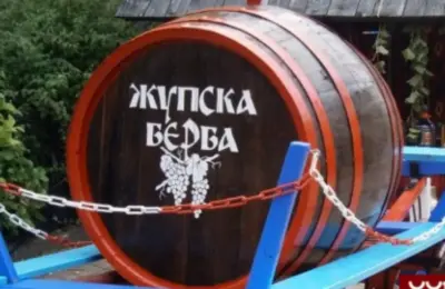 Vinski sektor jača privredu Aleksandrovca: Proizvođačima isplaćeno 600 miliona dinara