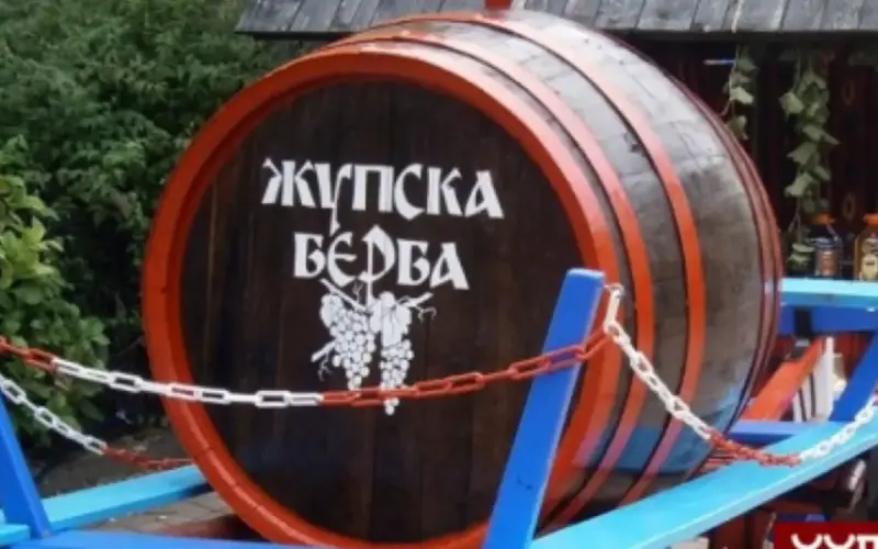 Vinski sektor jača privredu Aleksandrovca: Proizvođačima isplaćeno 600 miliona dinara
