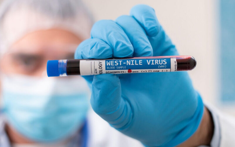 Virus Zapadnog Nila odneo dva života: Sedam pacijenata u bolnici
