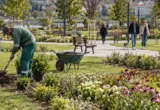Za projekte ozelenjavanja u 19 lokalnih samouprava Ministarstvo izdvojilo 90,7 miliona dinara