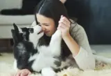 Zašto se pas „lepi“ uz mene, mazi se i stalno traži kontakt?