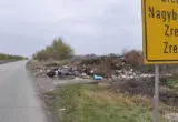 Zrenjanin protiv divljih deponija: Na očišćenim mestima sade drveće