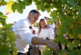 Moramo nastaviti ulaganja u vinogradarstvo