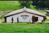 Bela Reka Farmland: Nekada ergela kneza Miloša, danas imanje sa Homolja
