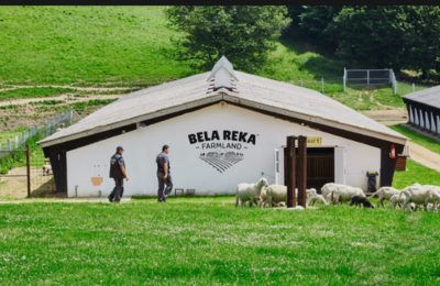 Bela Reka Farmland: Nekada ergela kneza Miloša, danas imanje sa Homolja