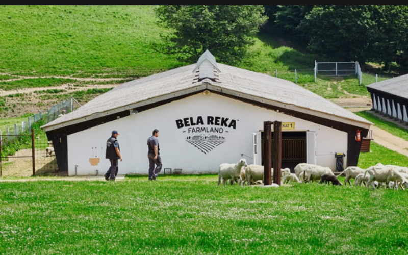 Bela Reka Farmland: Nekada ergela kneza Miloša, danas imanje sa Homolja