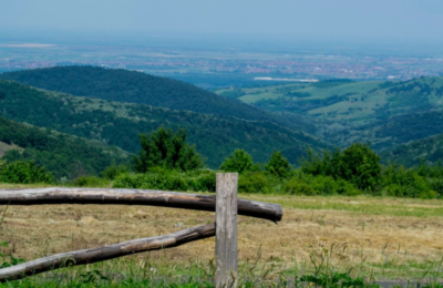 Fruška gora čuva neka od najvećih prirodnih i duhovnih blaga Srbije