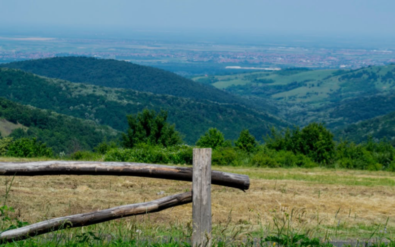 Fruška gora čuva neka od najvećih prirodnih i duhovnih blaga Srbije