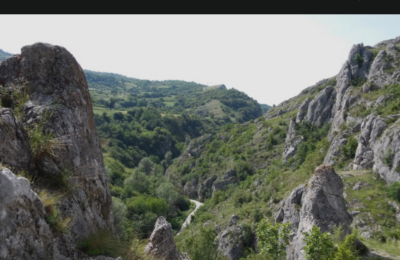 Jelašnička klisura krije prizore koji oduzimaju dah i biljke kakve se retko gde sreću