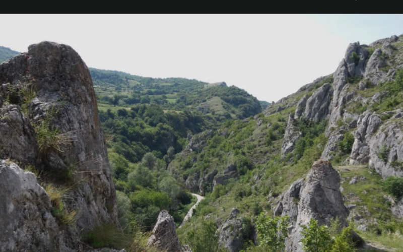 Jelašnička klisura krije prizore koji oduzimaju dah i biljke kakve se retko gde sreću